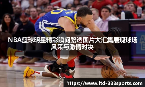 333体育官方网站